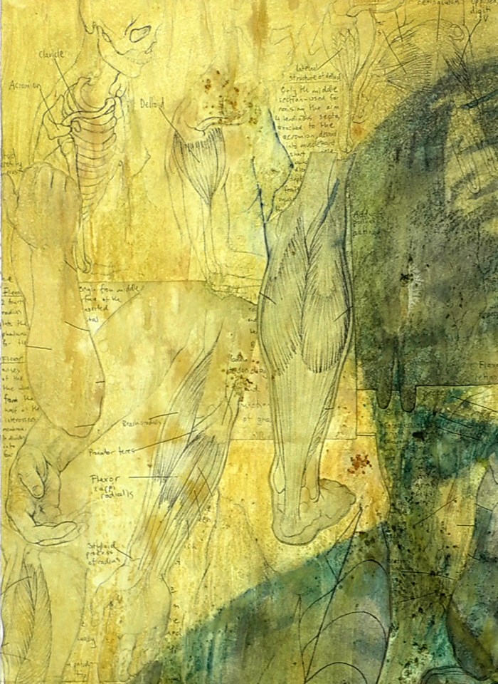 Inner Workings #2, 81x62cm, acrylic, ink, & collage on board, 2012 detail 1