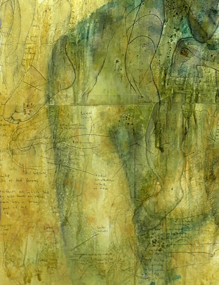 Inner Workings #2, 81x62cm, acrylic, ink, & collage on board, 2012 detail 3